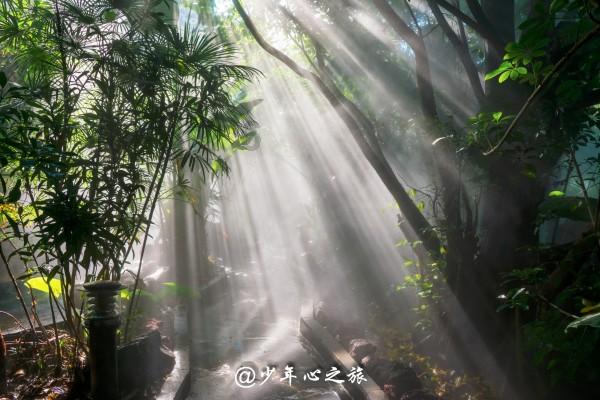 小猫钓鱼游戏龙王版有船